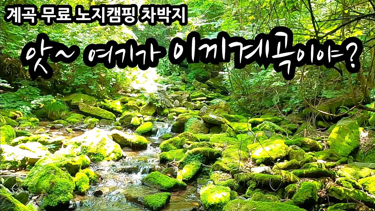 숨은 계곡 무료 노지캠핑 차박지 이끼계곡 알려지지않은 무료캠핑 무료차박지 캠핑 차박 평창 노지캠핑 차박 サムネイル
