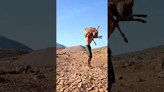 أحسن تبحيرة تقدر تبحرها فدخلة 2025 اكسبلور Constantine Travel Africa 