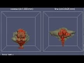 Simulation of Ash Dispersal from a Volcanic Plume