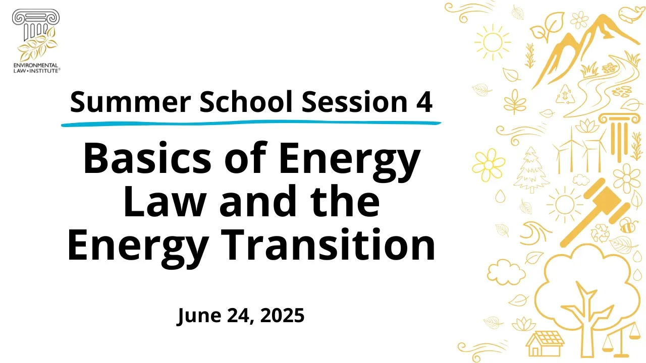 Summer School Session 4: Basics of Energy Law and the Energy Transition