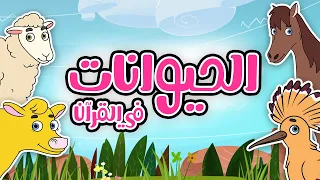 الحيوانات في القرآن أناشيد إسلامية للأطفال  الحيوانات في القرآن أناشيد إسلامية للأطفال