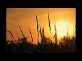 Download Lagu Backsound Relaksasi Suara Alam Pedesaan Pagi Hari Suara Ayam dan Burung