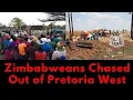 Download Lagu Zimbabweans Chased Away After Erecting Illegal Church Tents on Occupied Land in Pretoria West