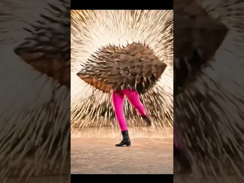 #chinaza