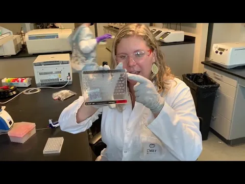 16S Lab protocols