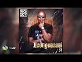 Download Lagu DJ Big Sky - Uzongenzani (Official Audio)