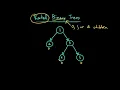 Advanced Data Structures Rooted Binary Trees