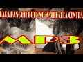 Download Lagu SUARA PANGGIL BURUNG WALET AREA CENTRAL