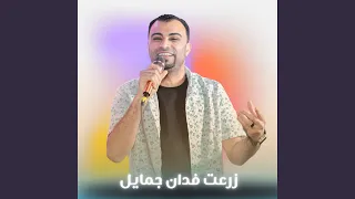 زرعت فدان جمايل        دندنها