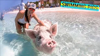 Pig Beach in The Exumas | Boating Travel Vlog Ep. 22