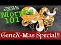 GeneX-Mas Special - Morphs 101 returns to YouTube