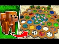 Download Lagu I Built a ZOO for REAL LIFE Animals in Minecraft