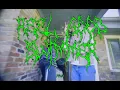 Briston Maroney - Real Good Swimmer (Official Music Video)