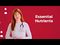 What s the Difference between Puppy Food and Adult Dog Food By Purina