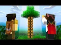 Can Seedfinders Spot Fake Minecraft Seeds