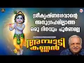 Lagu ശ്രീകൃഷ്ണഭഗവാൻ്റെ അനുഗ്രഹമില്ലാത്ത ഒരു ദിനവും പൂർണമല്ല | Sree krishna Songs Malayalam