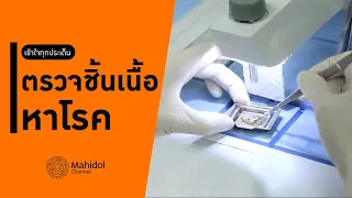 กระบวนการตัดชิ้นเนื้อให้บางเพื่อตรวจด้วยกล้องจุลทรรศน์ทำอย่างไร