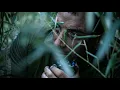 Navy SEALs Vietnam Behind Enemy Lines