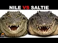 What is the difference between Nile Crocodiles and Saltwater Crocodiles