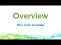 Overview of SQL Safe Backup