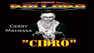 Download CIDRO - GERRY MAHESA NEW PALLAPA Live Alun Alun Purwodadi 2019 MP3