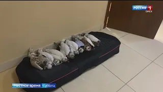 В Омской области задержаны контрабандисты из соседних государств с редким грузом