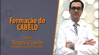 Formação do cabelo - Serie: Terapia capilar, tudo que você precisa saber