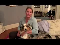 Massage Therapist Boston Testimonial Treatment Training Wellness