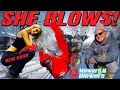 Ariens Deluxe 24 Snowblower New Carburetor Replacement for 23 and 10 minutes Tilt Back Leak FIXED