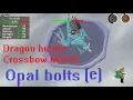 Max hits on Vorkath with dragonhunter and Opal bolts e Luck Lightning