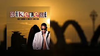 rizz world u0026 drizzy sam rsa dikeledi official lyric video 