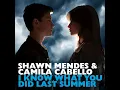 Download Lagu Shawn Mendes, Camila Cabello - I Know What You Did Last Summer (Radio Edit)