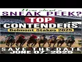 SpeedKing s Belmont Stakes Contender Profiles 2025 Probable Entries 2025 Saratoga Racecourse