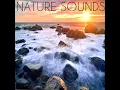 Beach Relax - Nature Sounds