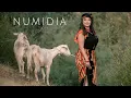Download Lagu Numidia Lezoul - Thilleli ( Yehwayi Jahagh )