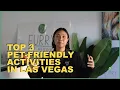 Top 3 Pet Friendly Activities in Las Vegas Furry Pet Resort