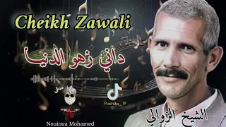 Cheikh Zawali الشيخ الزوالي داني زهو الدنيا 