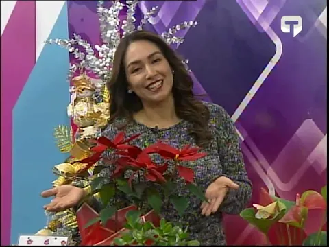 Emprendimiento Plantas y Suculentas Suegra