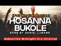 Download Lagu Hosanna Bukole By Daniel Lubams English Translation with Lyrics Full Song