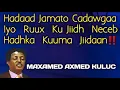 Download Lagu ha ku daalin jeedaal | kuluc haku daalin jeedaal lyrics |  maxamed axmed kuluc haku daalin jeedaal