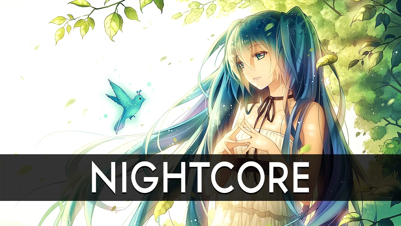 「Nightcore」→ Hide and Seek (Remix) ✕