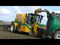 Ploeger AT4103 in the field laying Slurry w/ Samson cultivator | Danish Agriculture