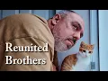 Download Lagu 300. Brothers Reunited - Slow Living in Wales