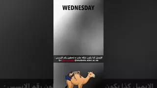 طريقة التسجيل لاختبار الإمارات القياسي              دندنها