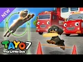 NEW Tayo S7 EP15 Our Dog is the Best l Tayo English Episodes l Tayo the Little Bus