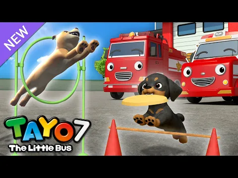 [NEW] Tayo S7 EP15 Our Dog is the Best! l Tayo English Episodes l Tayo the Little Bus