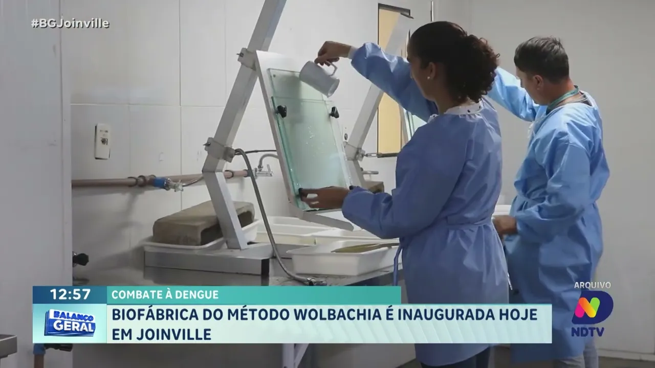 Combate à dengue: Biofábrica do método Wolbachia é inaugurada hoje em Joinville
