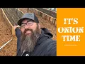 Onion Planting in A Central Texas Garden