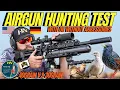 Download Lagu AIR GUN HUNTING TEST I AIR GUN HUNTING WITH OR WITHOUT ACCESSORIES I FX IMPACT LONG RANGE HUNTING