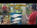 Download Lagu JARING TAK KUMPAU DAPAT IKAN JUAK/ADONG, SARAPAN PAGI DAN TERUS KERJA #ukaisenangkasenang